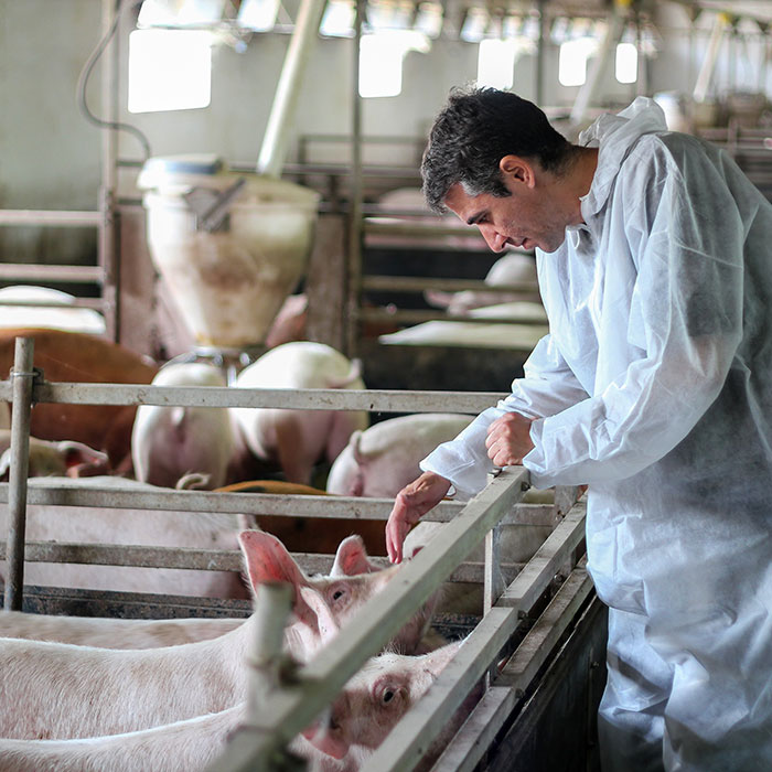 Πληροφορίες Εταιρείας