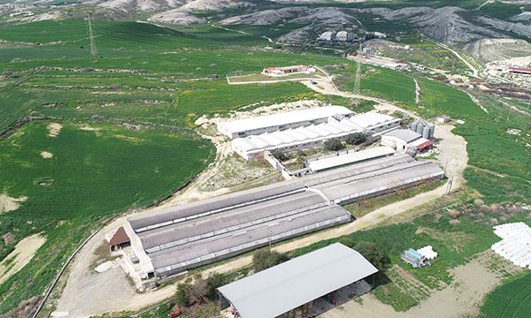 agapiou-DJI_0761edited