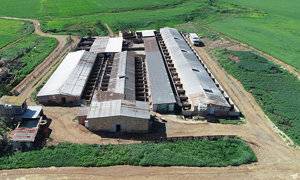 anastasiou-farm-DJI_0626edited