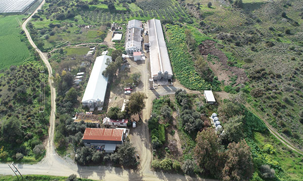aristidou-DJI_0745edited