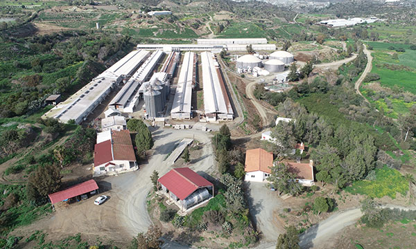armenis