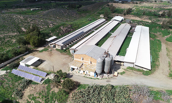 vasos-panteli-DJI_0693edited